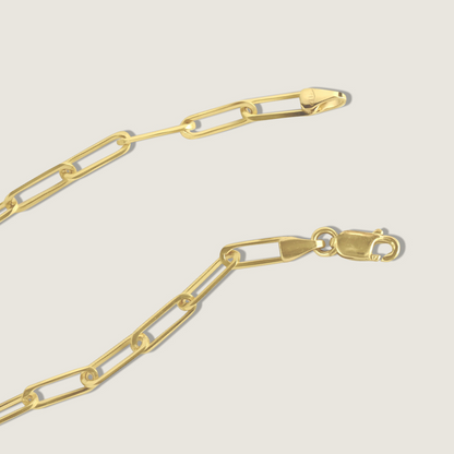 Bold Paperclip Chain Bracelet  | 10K Solid Gold